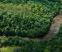 Bracell avança na contribuição para paisagens sustentáveis e supera metas de conservação da biodiversidade
