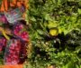 Salvador sedia pela primeira vez o Encontro de Pesquisas em Gastronomias do Brasil (ENPEGASTRO)
