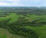 Bracell reduz emissões industriais em 47% e amplia uso de IA para monitorar carbono e biodiversidade