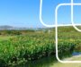 Curso gratuito capacita gestores públicos sobre adaptação climática nos municípios