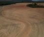 Estudo na Science alerta para consequências do fim da moratória da soja na Amazônia
