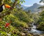 COP17 fará primeiro balanço global dos compromissos de proteção da biodiversidade